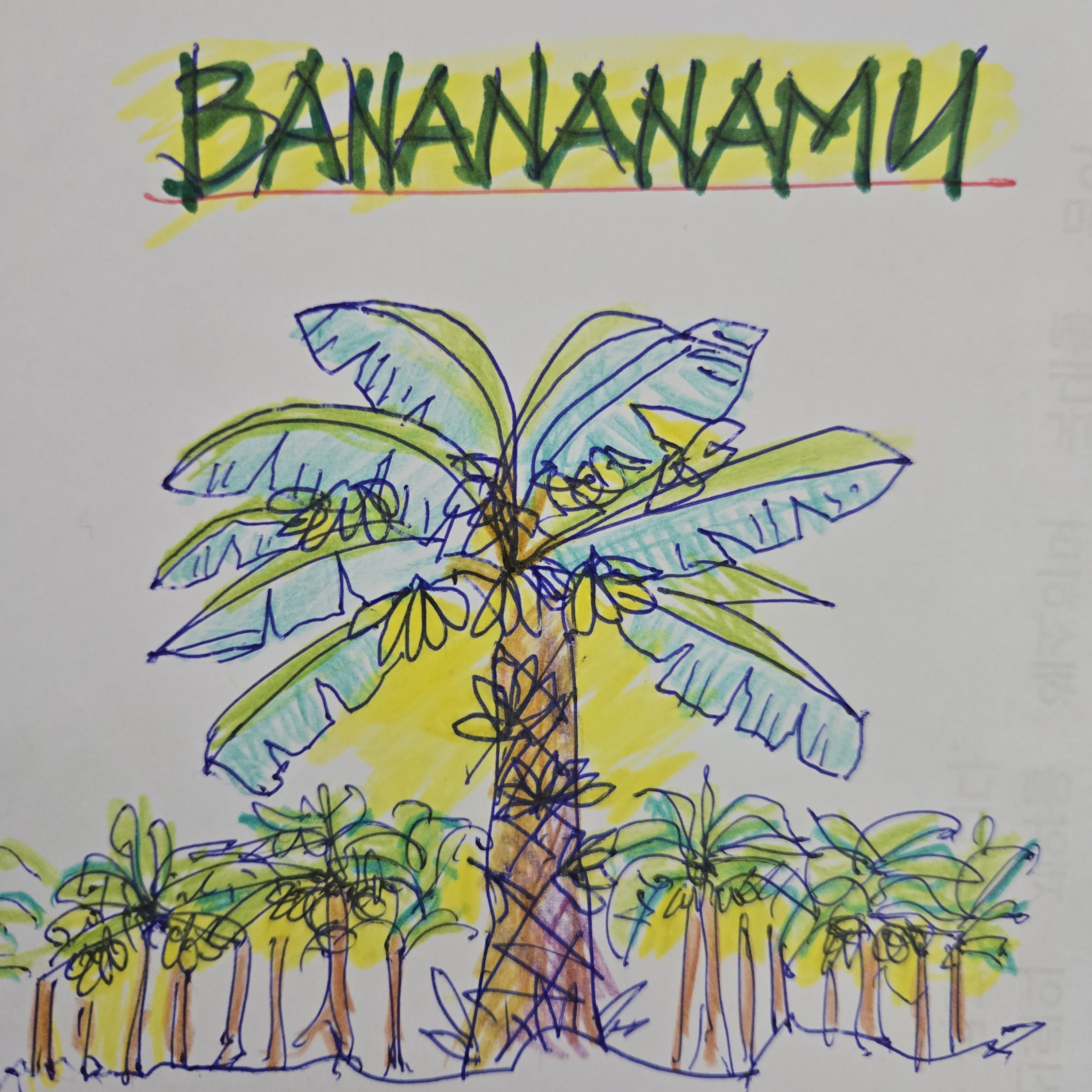 바나나나무 브랜드 이미지